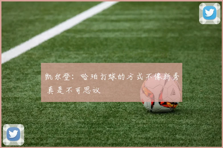 凯尔登：哈珀打球的方式不像新秀 真是不可思议