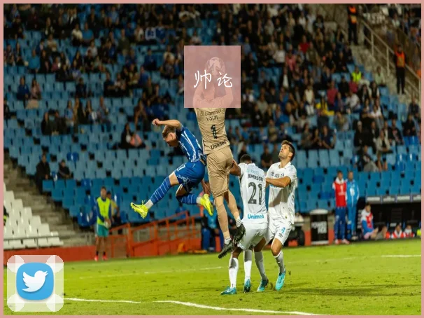 帅论